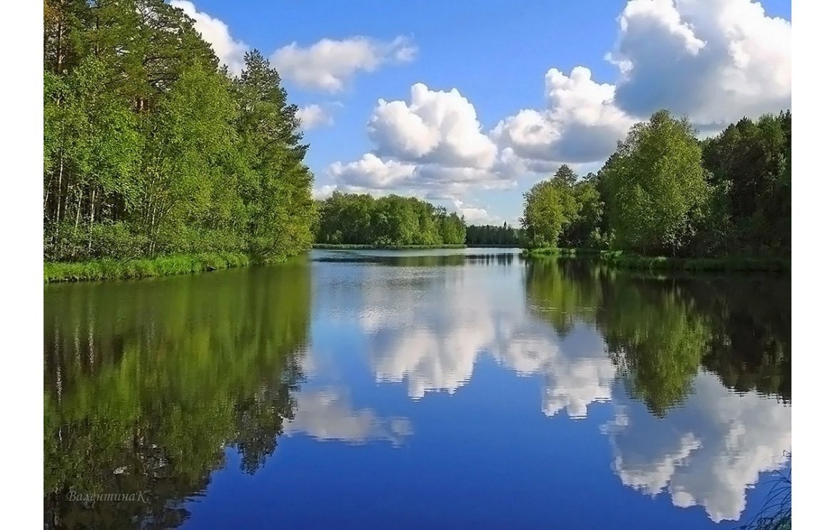 В Ленинградской области усилят безопасность в традиционных местах отдыха и купаний